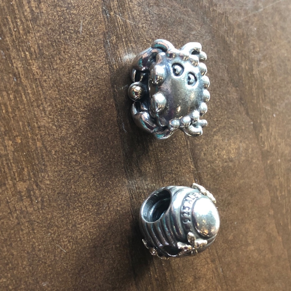 Pandora charms